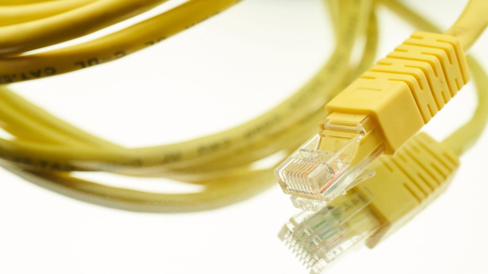 Photograph of network cable